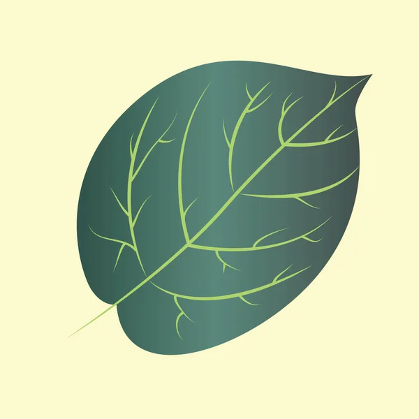 Зеленые Листья Значок Векторная Иллюстрация — стоковый вектор
