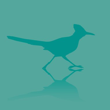 Bir martının vektör çizimi