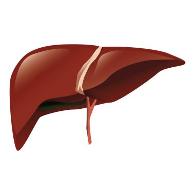 Kırmızı ve beyaz simgenin vektör illüstrasyonu