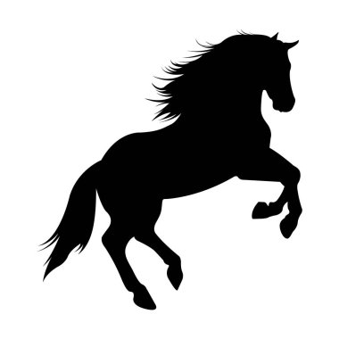 Beyaz arkaplanda izole edilmiş at silueti