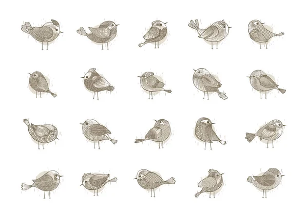 Ensemble Illustrations Vectorielles Oiseaux Animaux — Image vectorielle