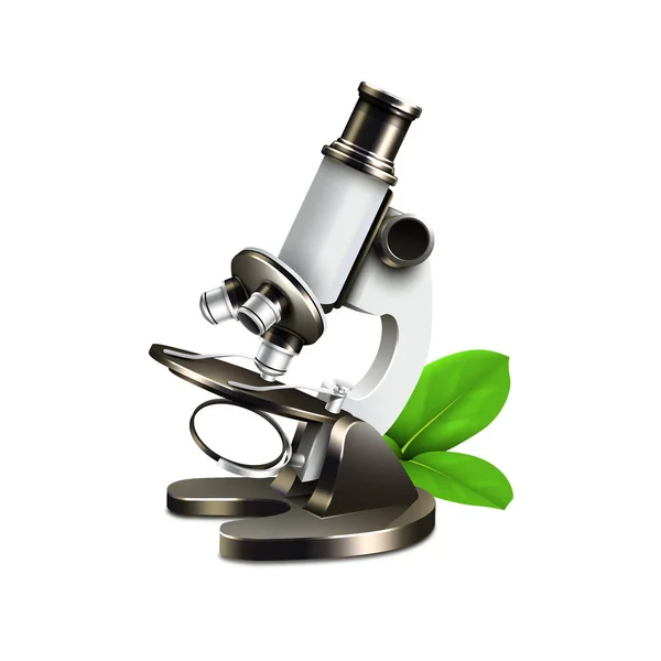 Mikroskop Und Pflanze Isoliert Auf Weiß — Stockvektor