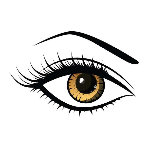 Vector Illustration Eye Female — Stock Vector