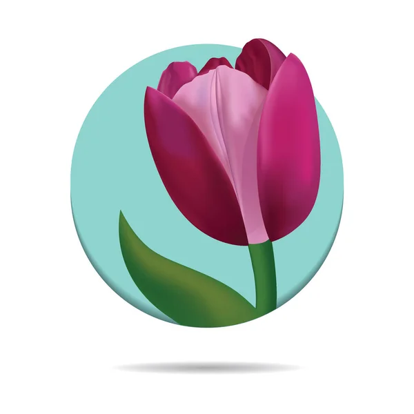 Image Vectorielle Tulipe Sur Fond Bleu — Image vectorielle