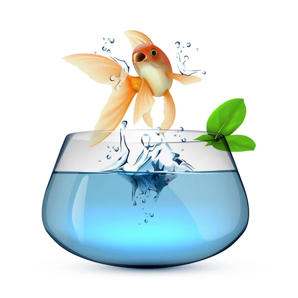 Goldfish Water — Stock Vector