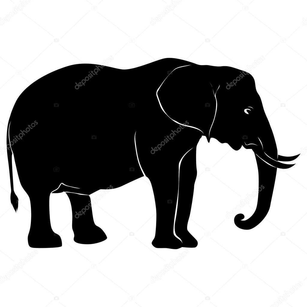 vector black and white elephant