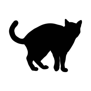 Beyaz arkaplanda kedinin siyah silueti