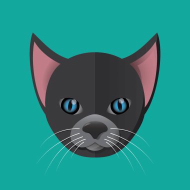 kedi işaret simgesi vektör illüstrasyonu 