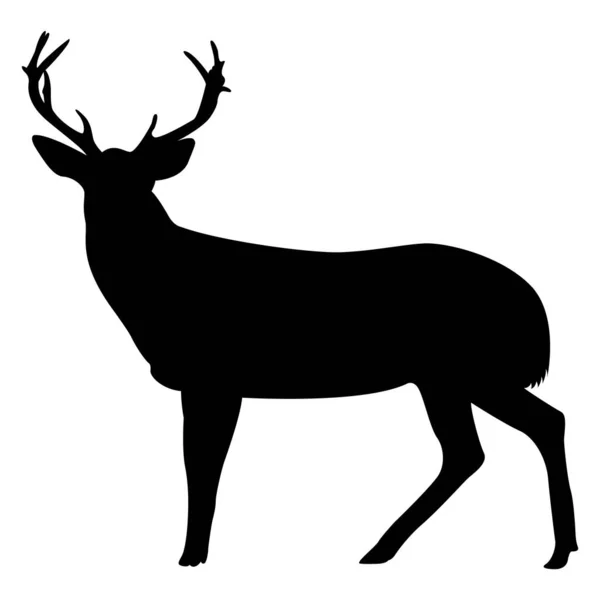 Silhouette Cerf — Image vectorielle