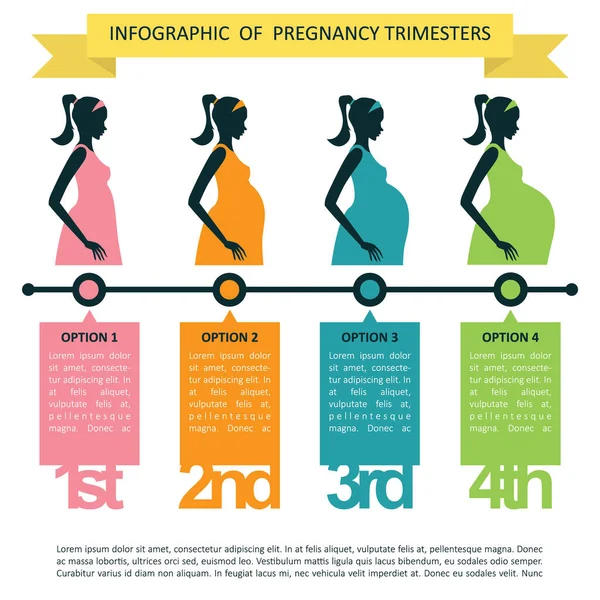 Illustration Vectorielle Infographie — Image vectorielle