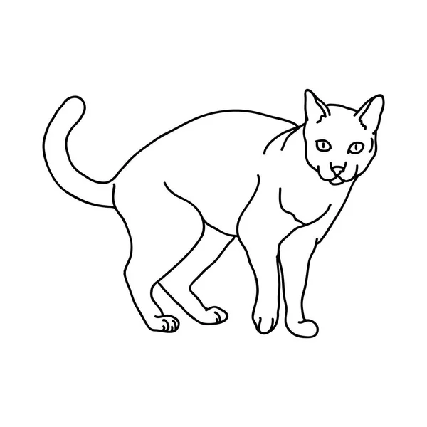 Vector Illustration Cat Silhouette — Stock Vector