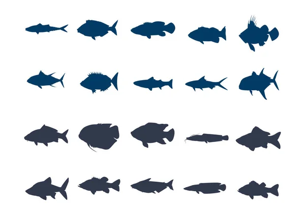 Ilustração Vetorial Peixes Animais Marinhos — Vetor de Stock