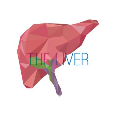 düşük poli origami tarzı kanguru çizimi