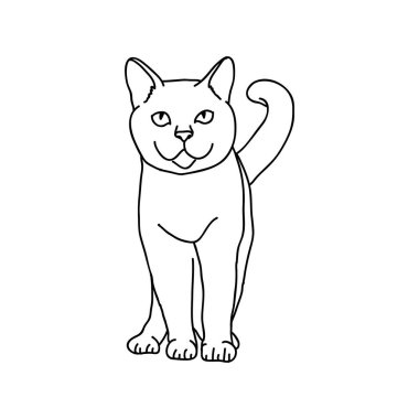 Kedi çiziminin yaratıcı vektör çizimi