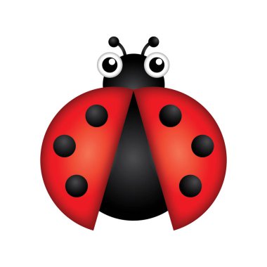 Beyaz arkaplandaki uğur böceğinin vektör illüstrasyonu