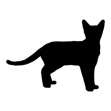 Beyaz arka planda siyah bir kedi silueti