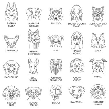 Sevimli kedi, hayvan ve köpeklerden oluşan vektör kümesi