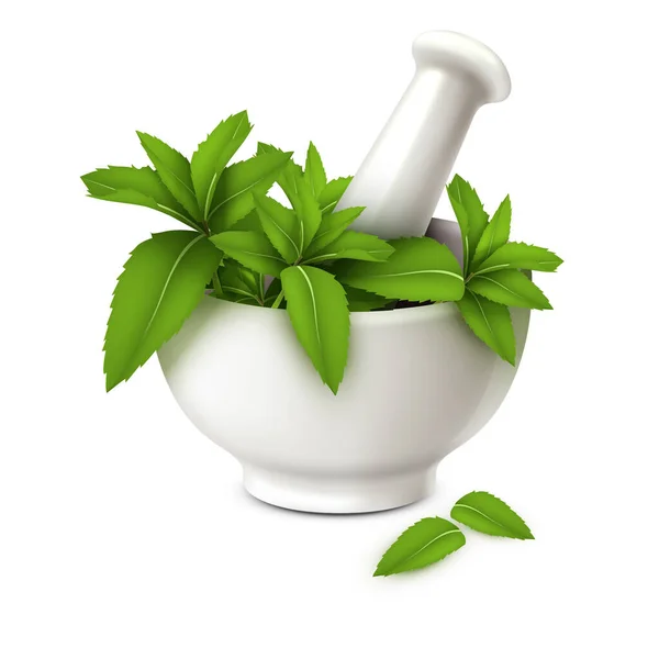 Mortar Pestle Herbs Spices — Stock Vector