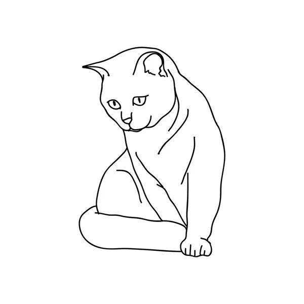 Векторна Ілюстрація Милого Кота — стоковий вектор