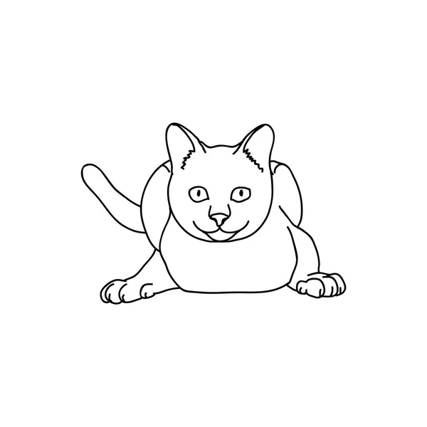 Lindo Gato Aislado Blanco Fondo — Vector de stock