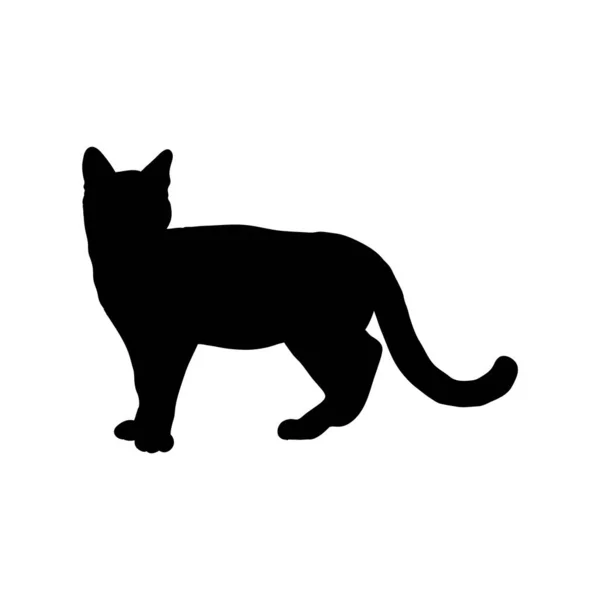 Zwart Silhouet Van Kat Witte Achtergrond — Stockvector