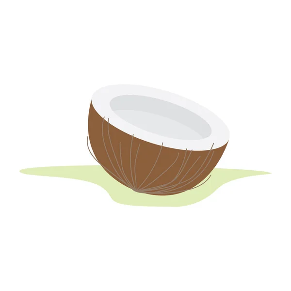 Coconut Leaves Cup Coffee — Stock Vector