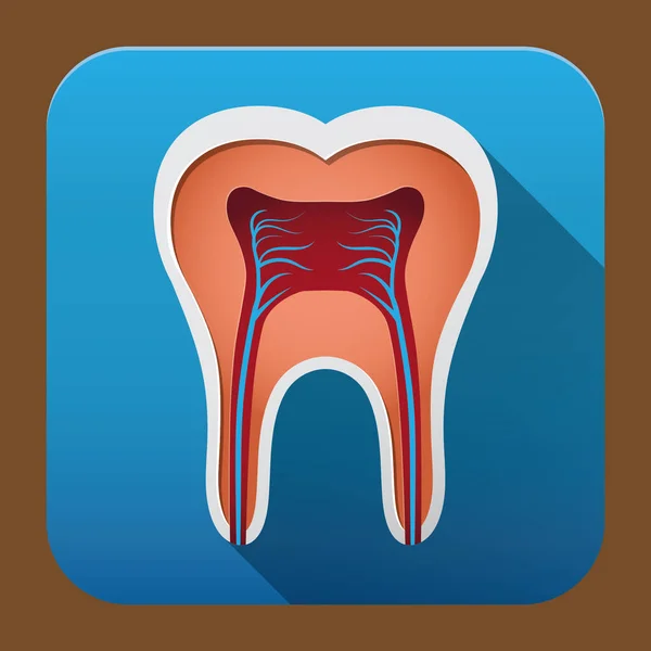 Illustrazione Vettoriale Colori Semplice Dentale — Vettoriale Stock