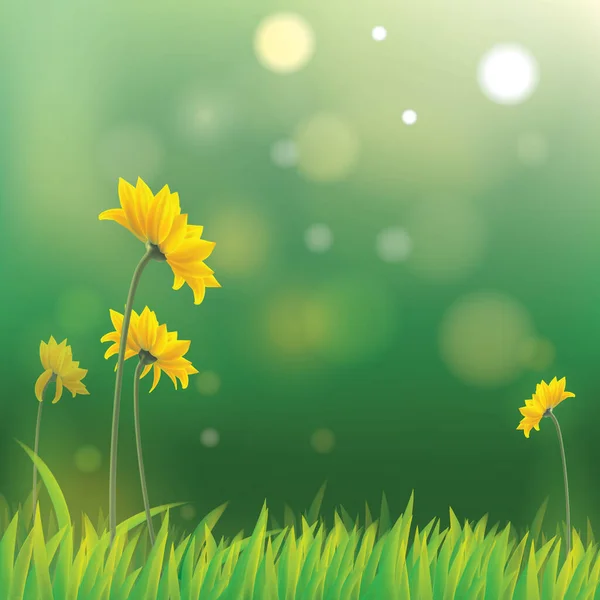 Yellow Flowers Green Grass Background — Stock Vector