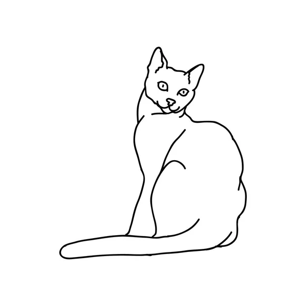 猫的黑白矢量图解 — 图库矢量图片