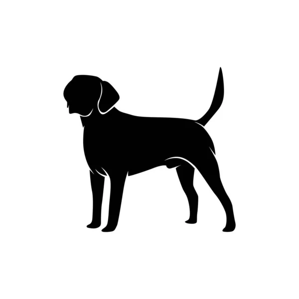 Vector Silhouet Teckel Hond Witte Achtergrond — Stockvector