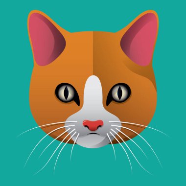 kedi işaret simgesi vektör illüstrasyonu 