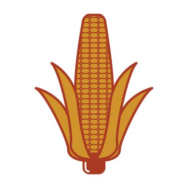 Beyaz arka planda izole edilmiş çizgi film tarzında mısır ikonu. Şükran Günü sembolü çizimi.