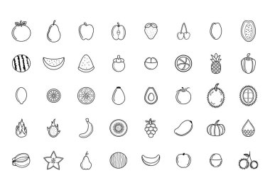 Meyve ve sebze vektör kümesi