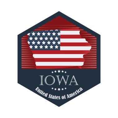 ABD bayrak tasarımı, vektör illüstrasyon eps10 grafiği