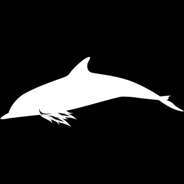 Bir köpekbalığının vektör çizimi