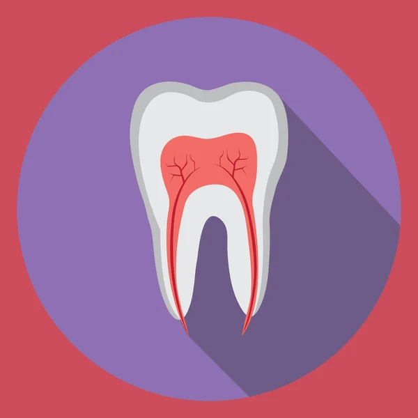 Tooth Icon Flat Design — Stock Vector