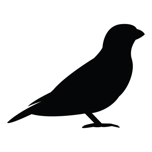 Silhouette Noire Oiseau Sur Fond Blanc — Image vectorielle