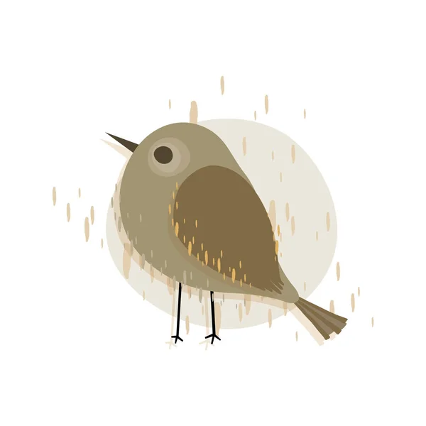 Ilustração Vetorial Pássaro Sobre Fundo Branco —  Vetores de Stock