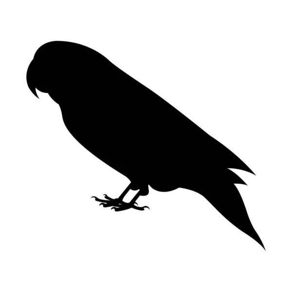 Vektorillustration Einer Vogelsilhouette — Stockvektor