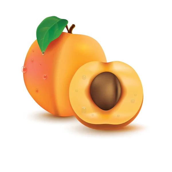 Melocotón Naranja Fruta Vector Ilustración — Vector de stock