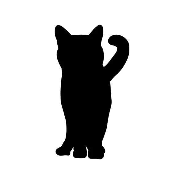 Fekete Sziluett Egy Macska — Stock Vector