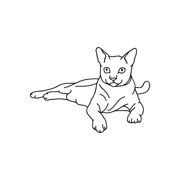 在白色背景下孤立的猫的轮廓 — 图库矢量图片