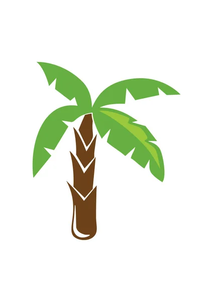 Vector Illustratie Van Groene Palmboom Pictogram — Stockvector