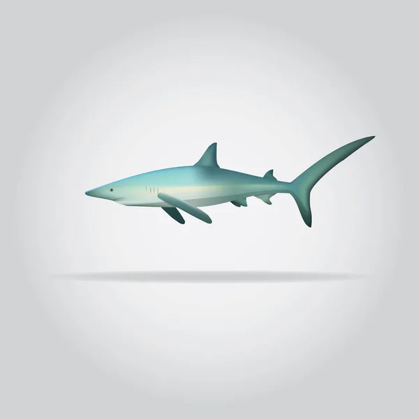 サメのアイコンベクトルイラスト — ストックベクタ