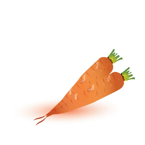 Καρότα Λευκό Φόντο — Διανυσματικό Αρχείο