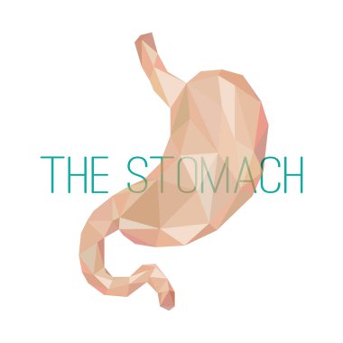 düşük poligonal biçim vektör çizimi