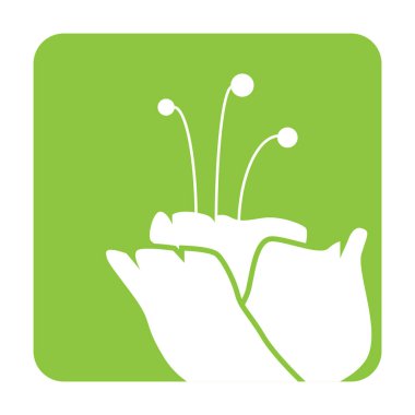 Bir çiçek simgesinin vektör illüstrasyonu