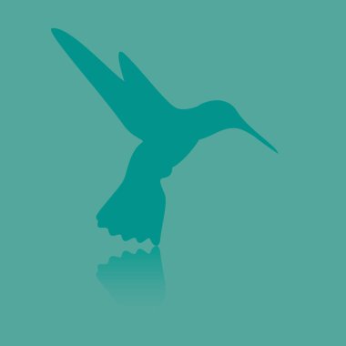 Bir yarasanın silüeti