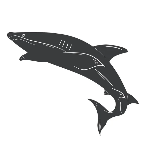 白を背景にしたサメのベクターイラスト — ストックベクタ