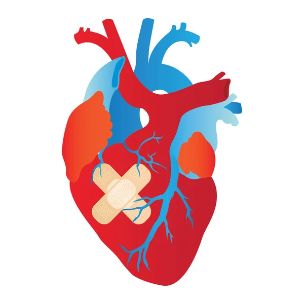 Silueta Vectorial Del Corazón Forma Cuerpo Humano Con Cruz — Vector de stock